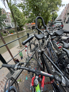 密密麻麻自行车