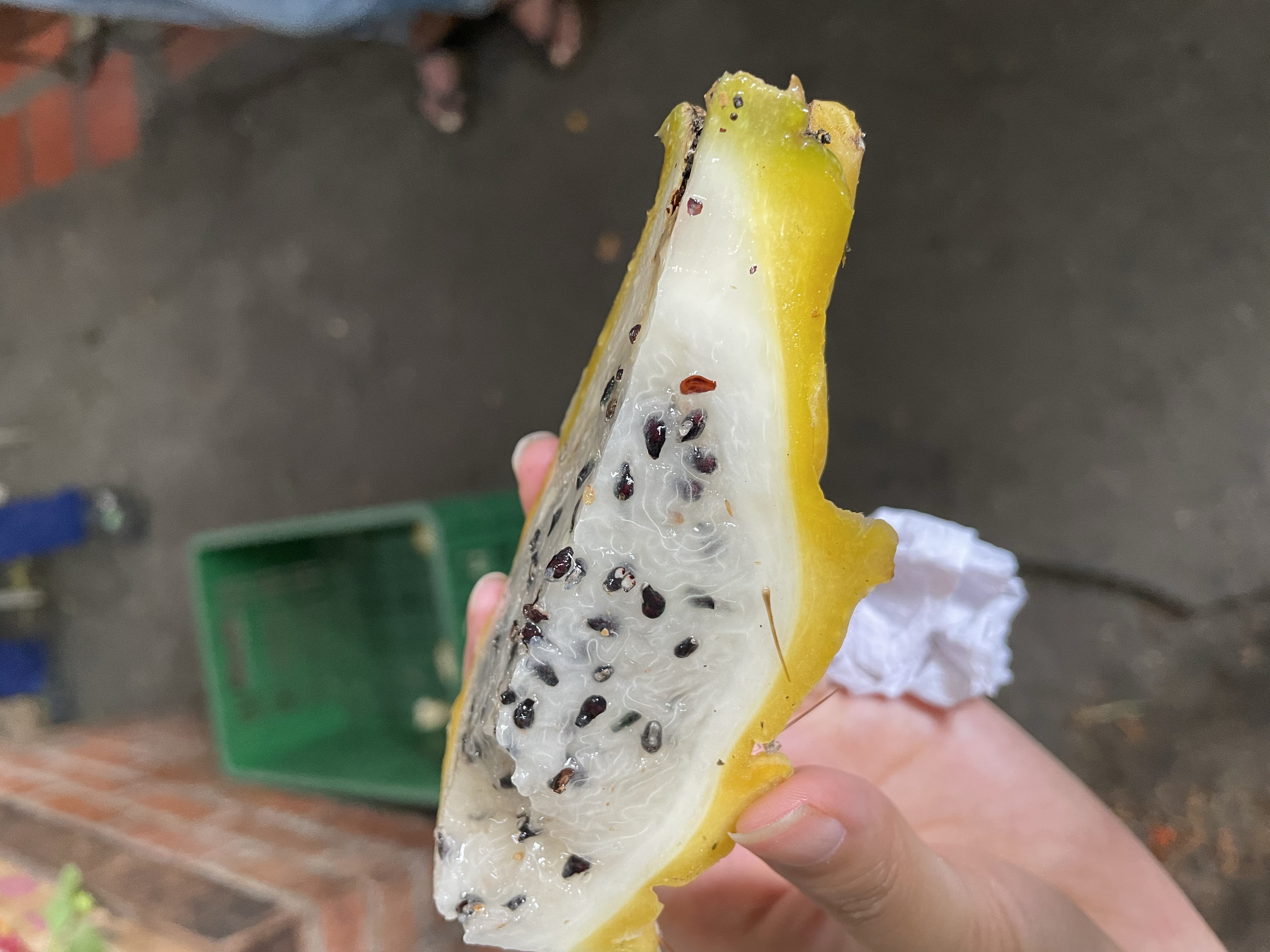 Pitahaya