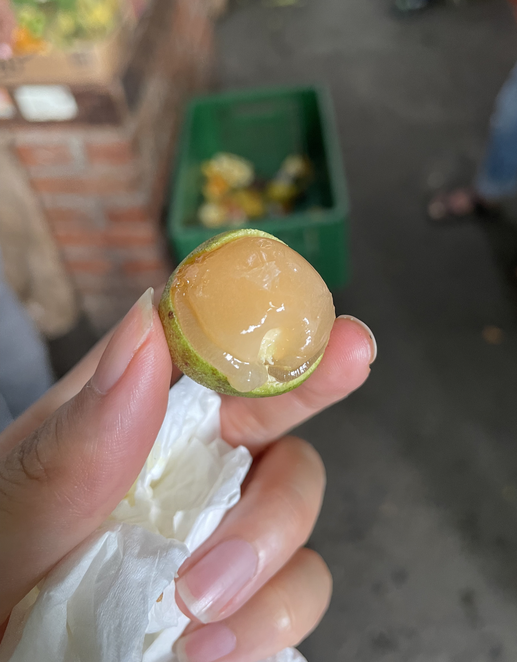 Mamoncillo