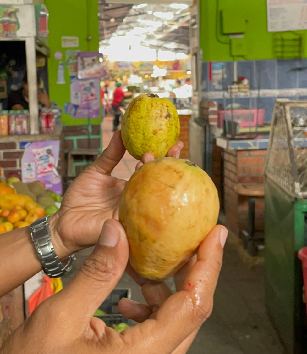 Guajava sour vs sweet