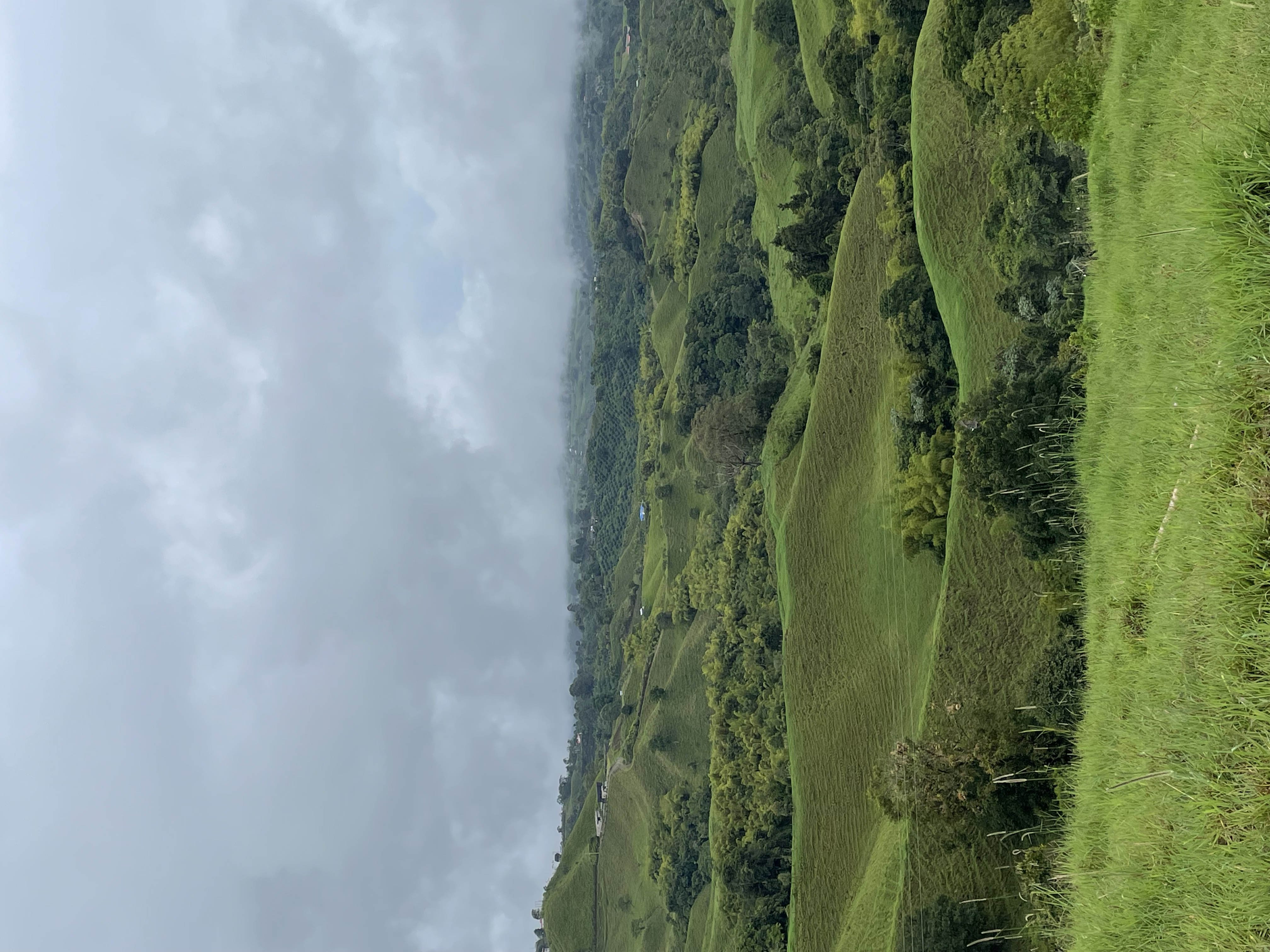 IMG_0019.png