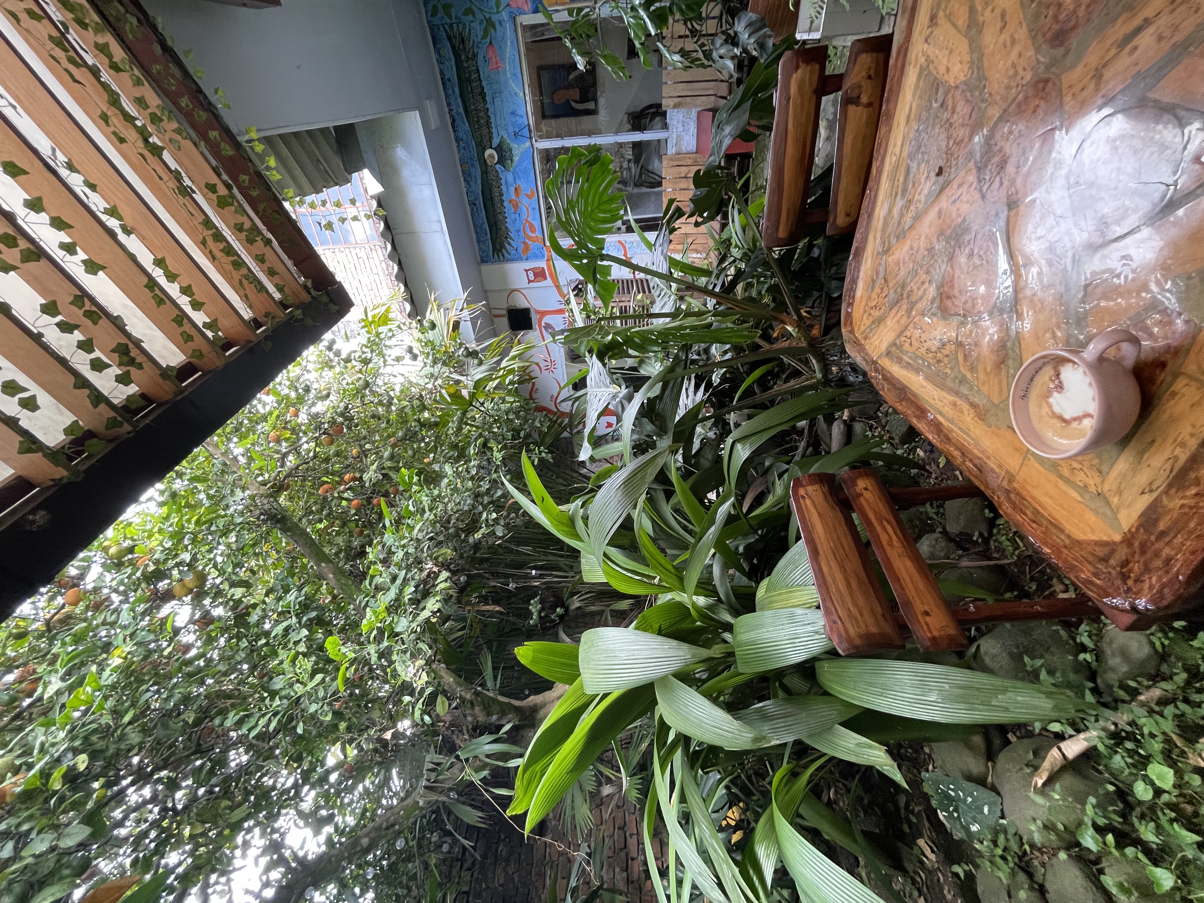 TIUSPA Cafe de Cappucino