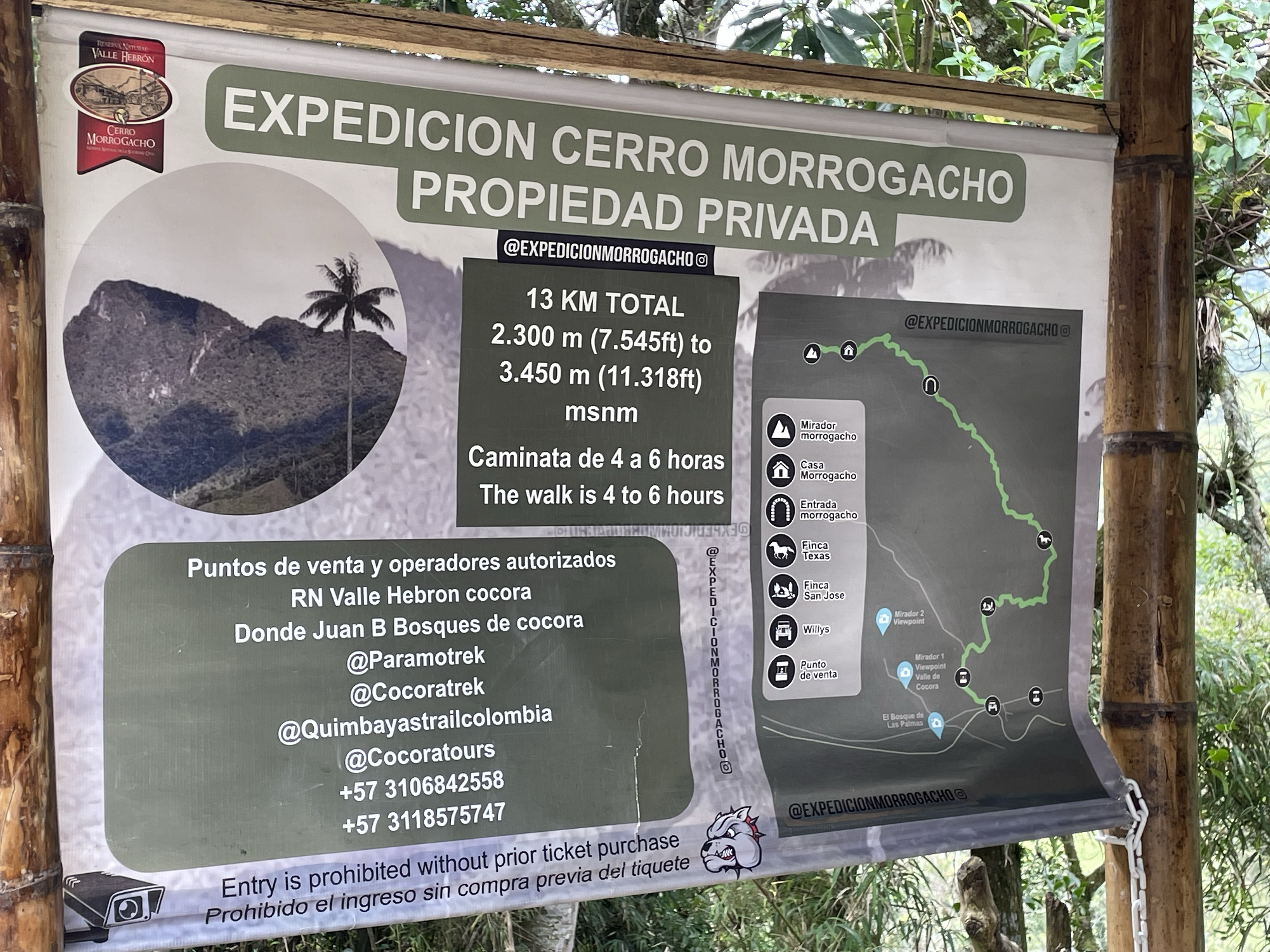 被忽悠走了这个Morrogacho