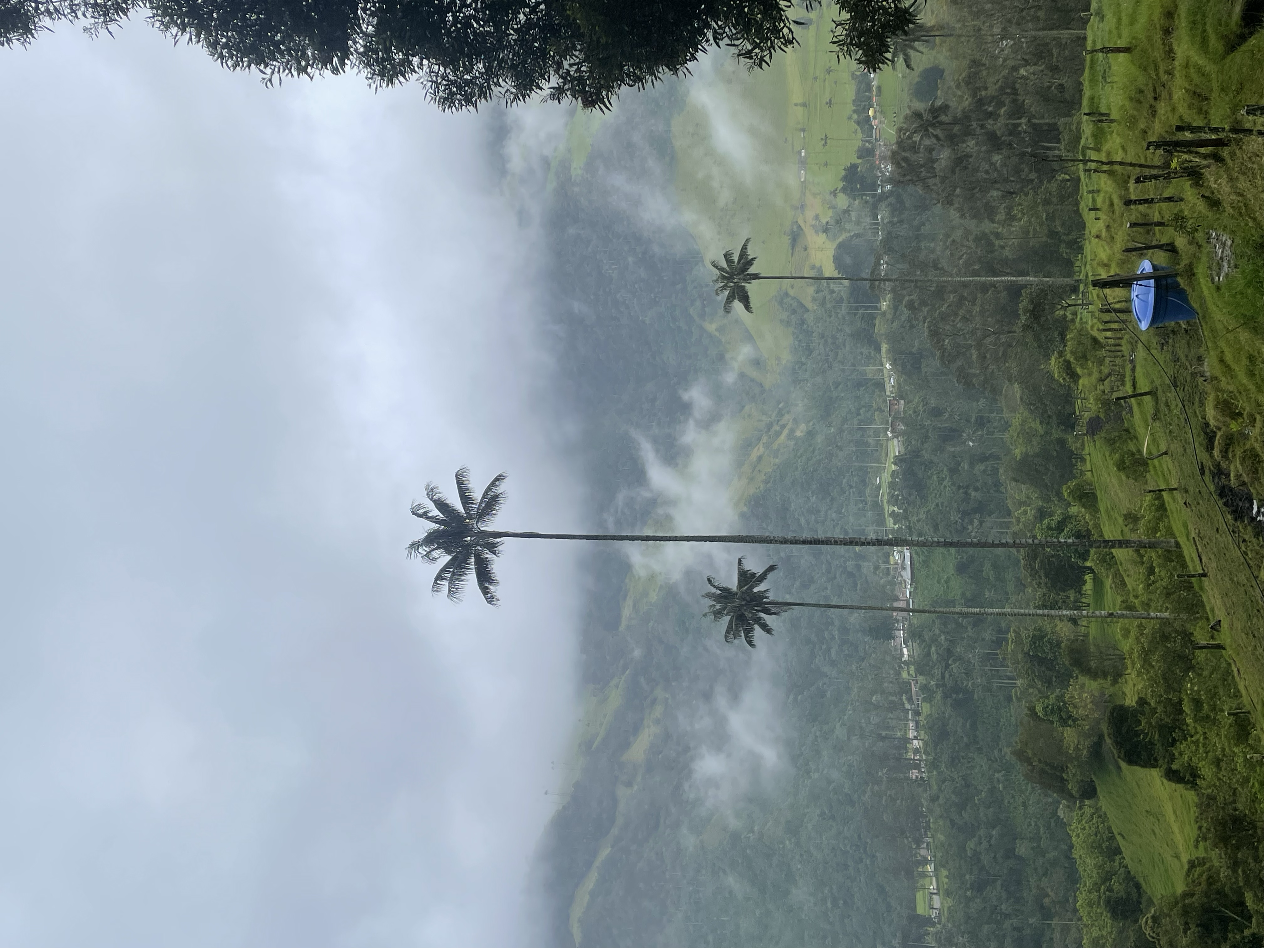 看到了就算来过了,就这吧